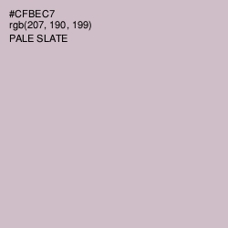 #CFBEC7 - Pale Slate Color Image